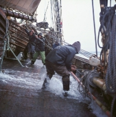 Zum Vergrößern auf das Bild klicken Viermastgaffelschoner 'Creoula'