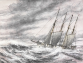 Zum Vergrößern auf das Bild klicken 'Argus'