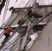 Zum Vergrößern auf das Bild klicken