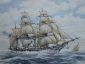 Zum Vergrößern auf das Bild klicken Kanonenboot 'Gannet'